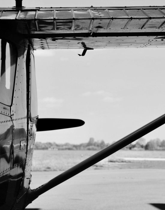 adrienn-takacs-0n7Qa80-C4Y-unsplash_schwarzwoiß adrienn-takacs-0n7Qa80-C4Y-unsplash_schwarzwoiß